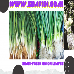 SBJEI-FRESH ONION LEAVES